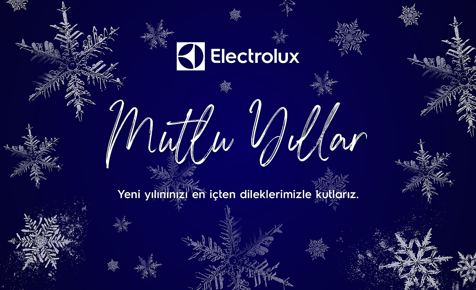 Ledin | Electrolux – Özel Anlara Yönelik Görsel Tasarımları